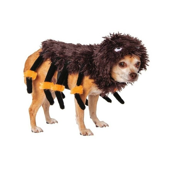 Way To Celebrate Halloween Pet Costume, Spider Costume, NEW Size XS - Picture 1 of 5